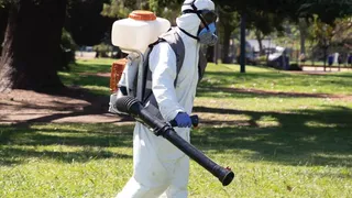 Invasión de Mosquitos en Buenos Aires